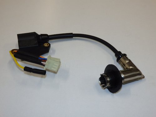 Ignitor